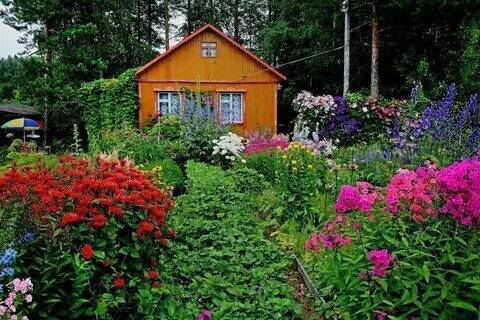 Как не подорвать здоровье на даче.