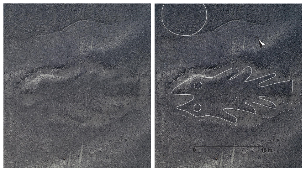 ИИ сказал, что это инопланетянин! Учёные попросили искусственный интеллект расшифровать геоглифы Наски.