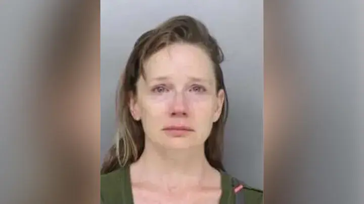 Женщина из Огайо пытается заманить 4-летнего ребенка, играющего во дворе, и утверждает, что она сотрудник CPS: полиция