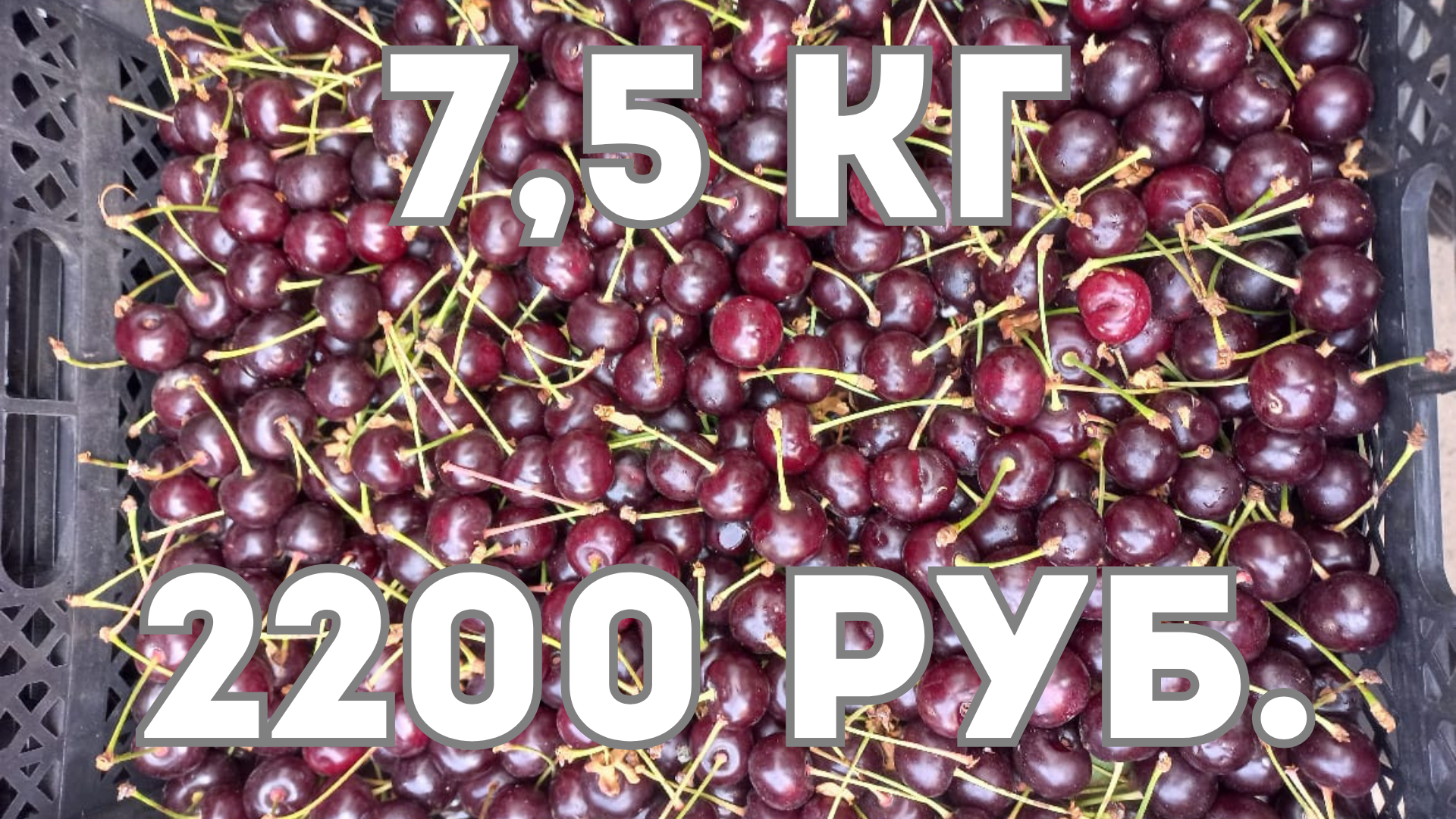 Мустафа открывает нам глаза или какая оптовая цена фруктов в Сибири