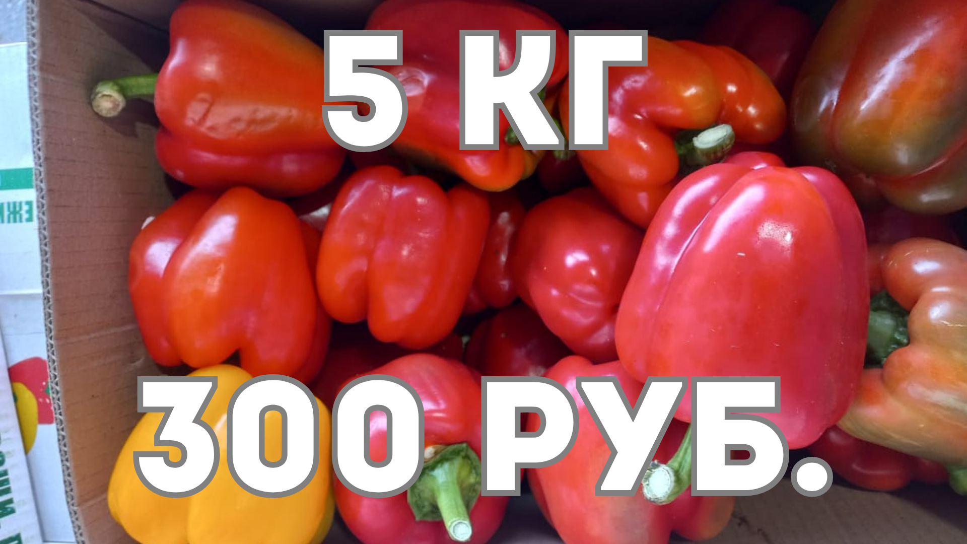 Мустафа открывает нам глаза или какая оптовая цена фруктов в Сибири