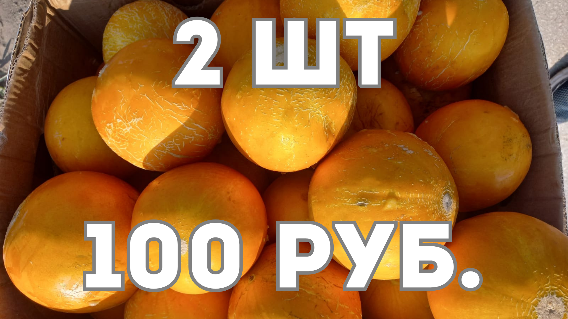 Мустафа открывает нам глаза или какая оптовая цена фруктов в Сибири