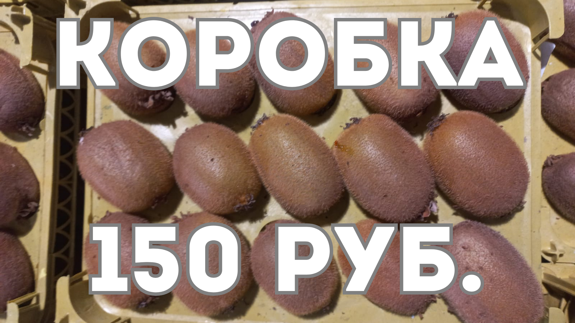 Мустафа открывает нам глаза или какая оптовая цена фруктов в Сибири