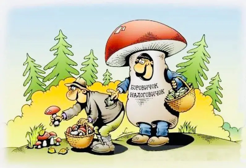 За сбор грибов под суд. Законодательство, над которым смеются даже в Госдуме, но не отменяют