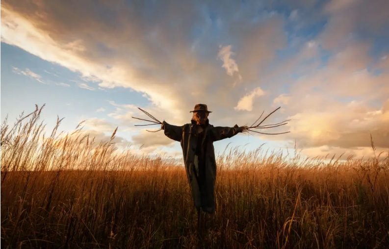 Острые ощущения от фильмов ужасов: почему люди любят бояться