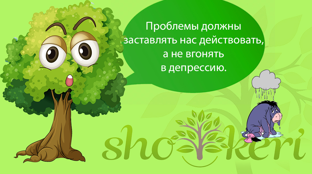 🌱Универсальные товары, за которые не стоит переплачивать🌱