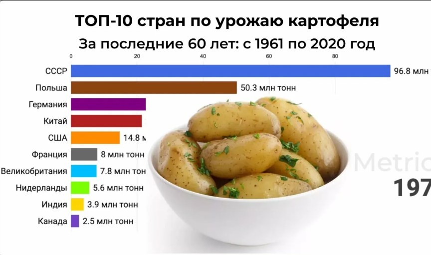 Оказывается раньше больше всех выращивал СССР.