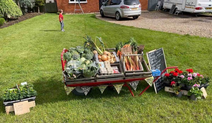 11-летний мальчик решил стать фермером: арендует землю, разводит овец и прядет шерсть