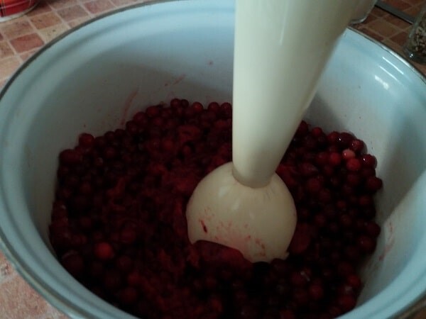 Брусничный соус превратит ваше блюдо из мяса в шедевр кулинарного искусства