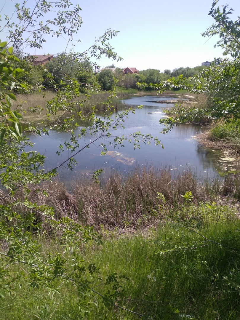 Прогулка по парку. Релакс рядом.