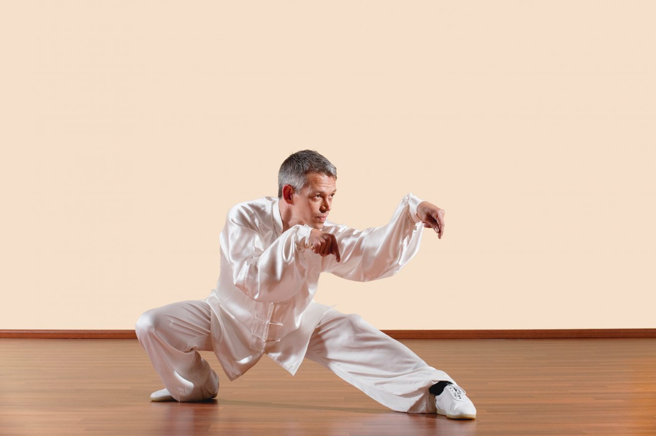 Сколько видов Боевых Искусств в Мире? (часть 4)