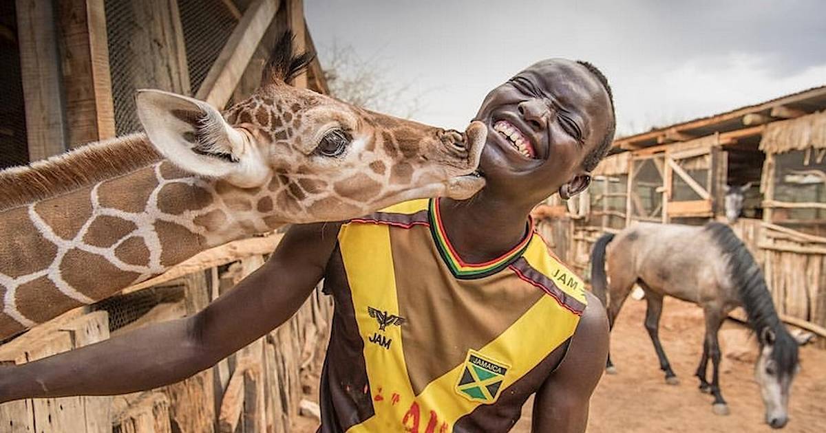 Африка, разнообразный и яркий континент