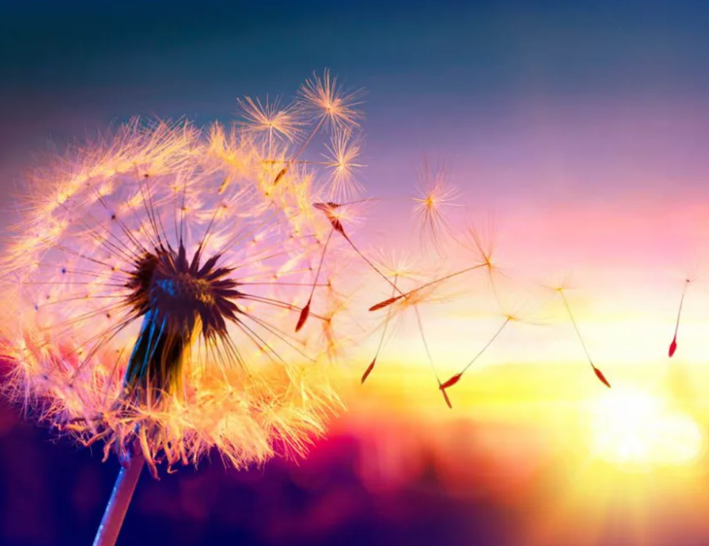 Как остановиться в суете сует: 5 способов к осознанию своих истинных ценностей в этом мире