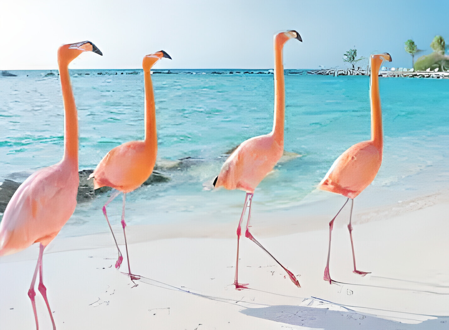 Остров вечного лета.