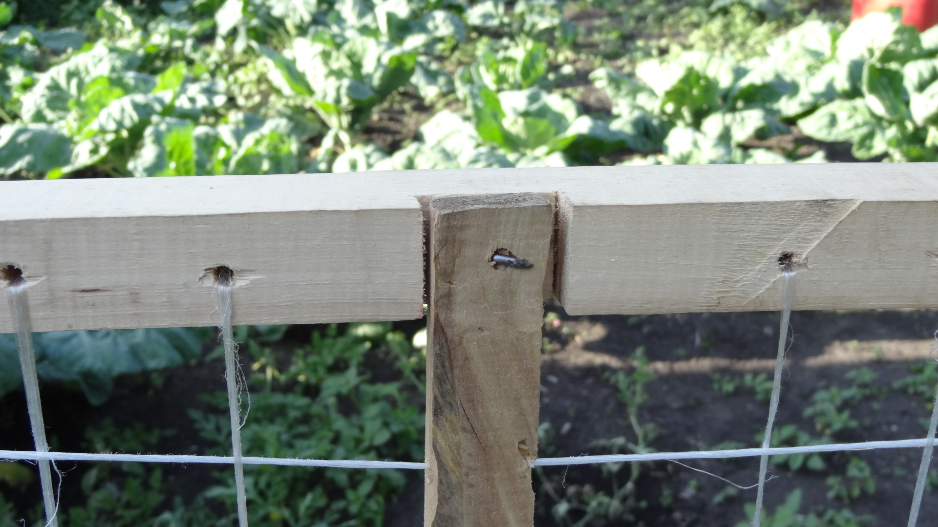 Несколько слов о «Русском чае».