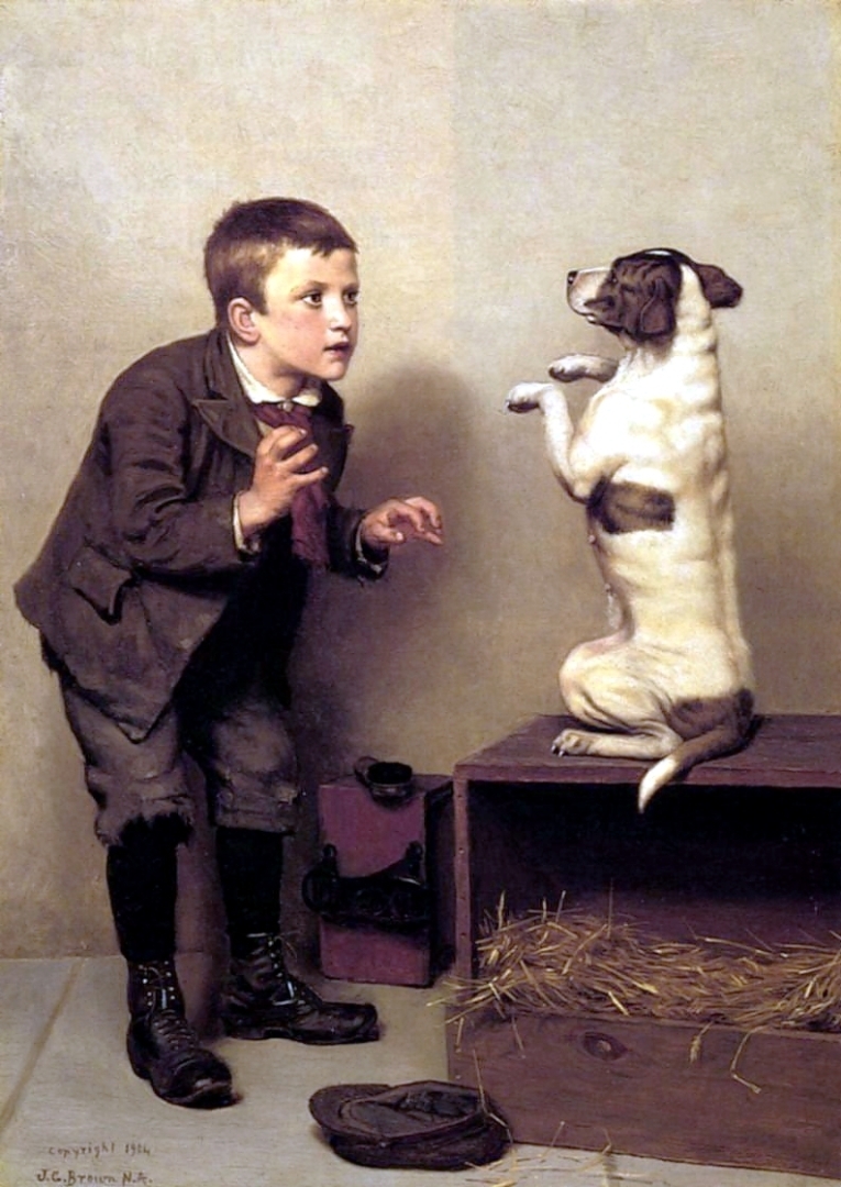 Собачья жизнь