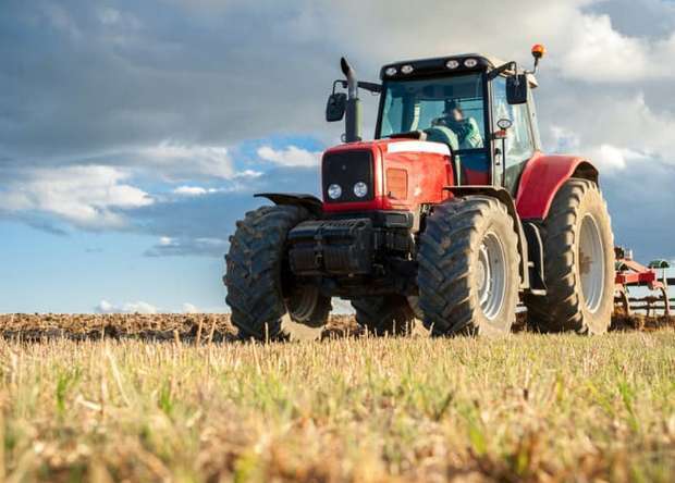 Загадочные Яйца В Поле Заставляют Фермера Плакать.