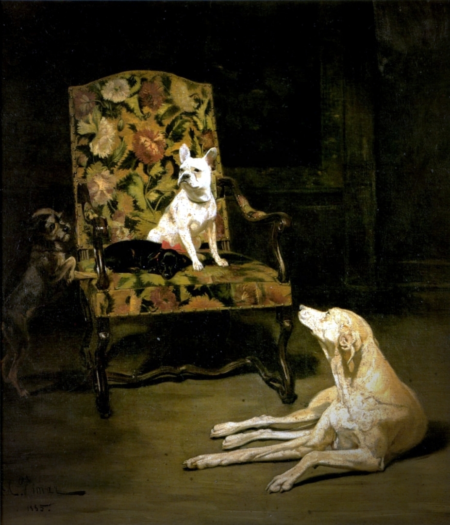 Собачья жизнь