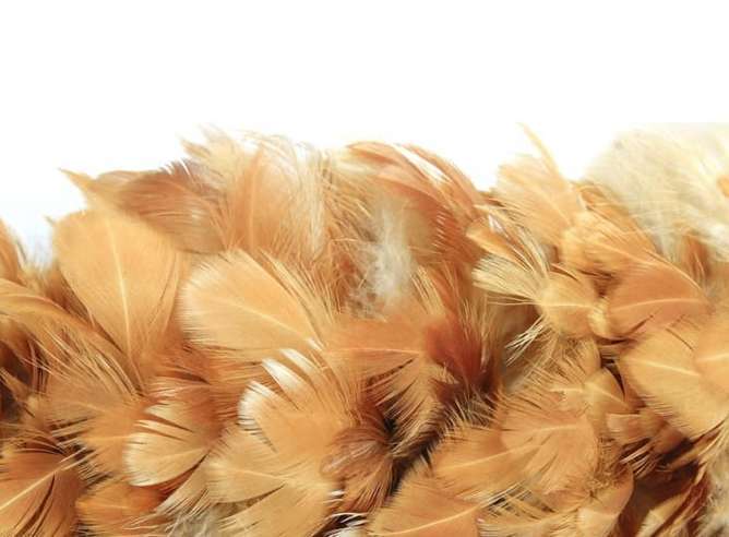 Загадочные Яйца В Поле Заставляют Фермера Плакать.