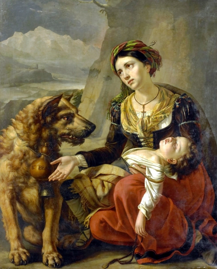 Собачья жизнь