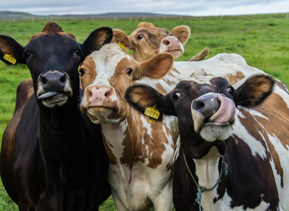 Шесть опасностей, которые вы точно недооцениваете