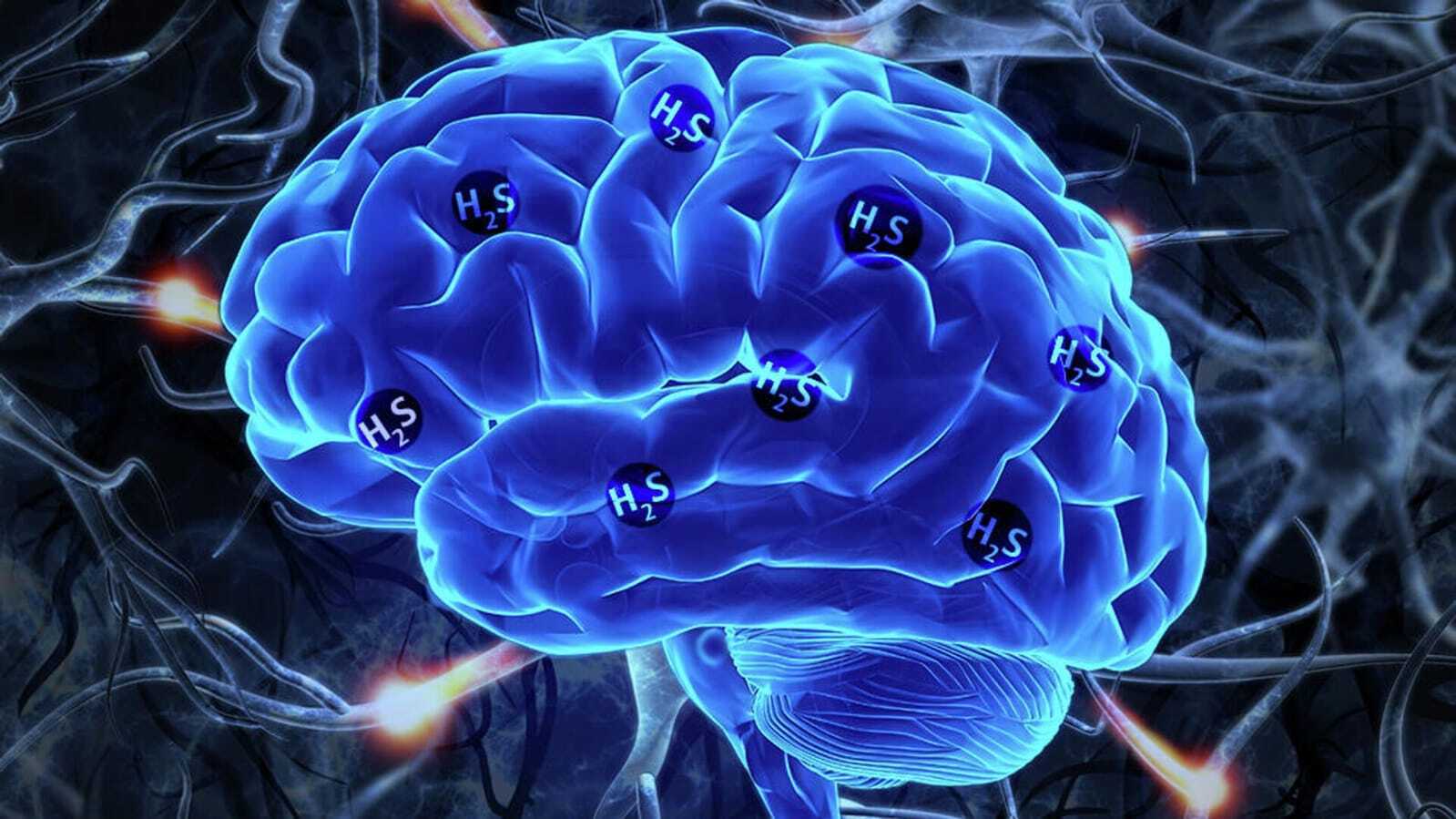 Новое российское приложение для выявления обострения у психбольных. Может такое же разработать для всего населения страны? Вокруг столько неадекватов!