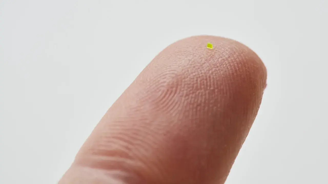 Сумочка «меньше крупинки соли» продана за 63 000 долларов