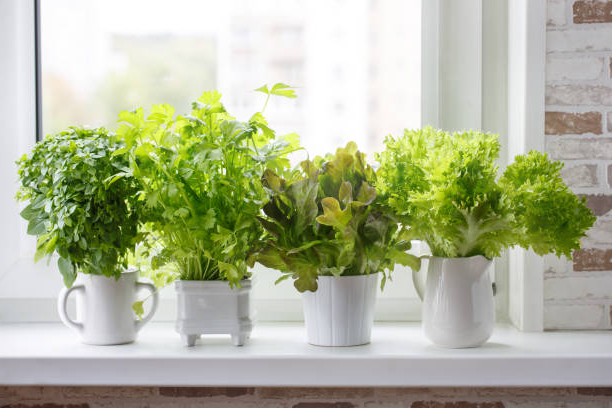 Существуют продукты питания, в которых женщины нуждаются больше чем мужчины. Топ-8 продуктов для женского организма.