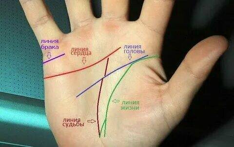 Для чего нужны линии на ладони?