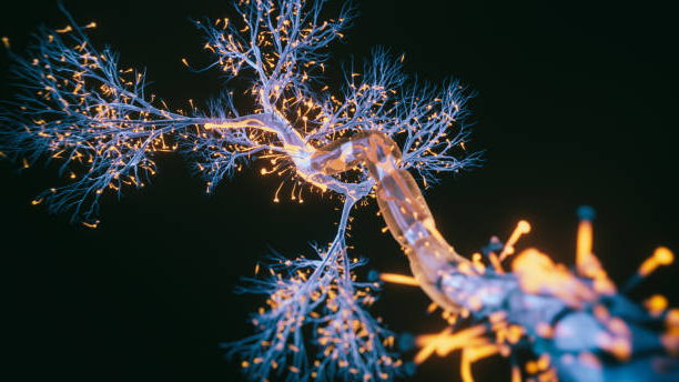 Как научиться слышать себя + самодиагностика дефицита витаминов и минералов в вашем организме.