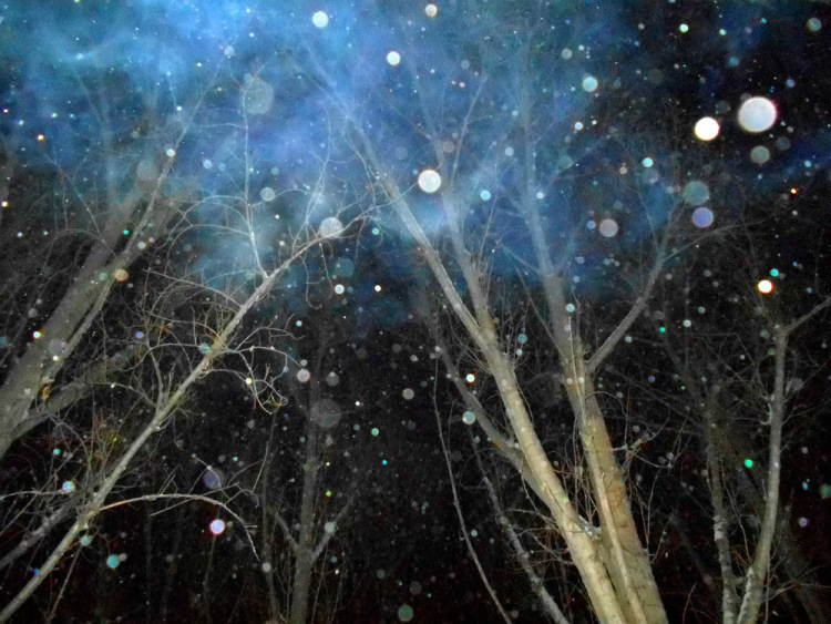 Изучение возможностей таинственных сфер: могут ли они действительно быть обитателями тонкого мира?.