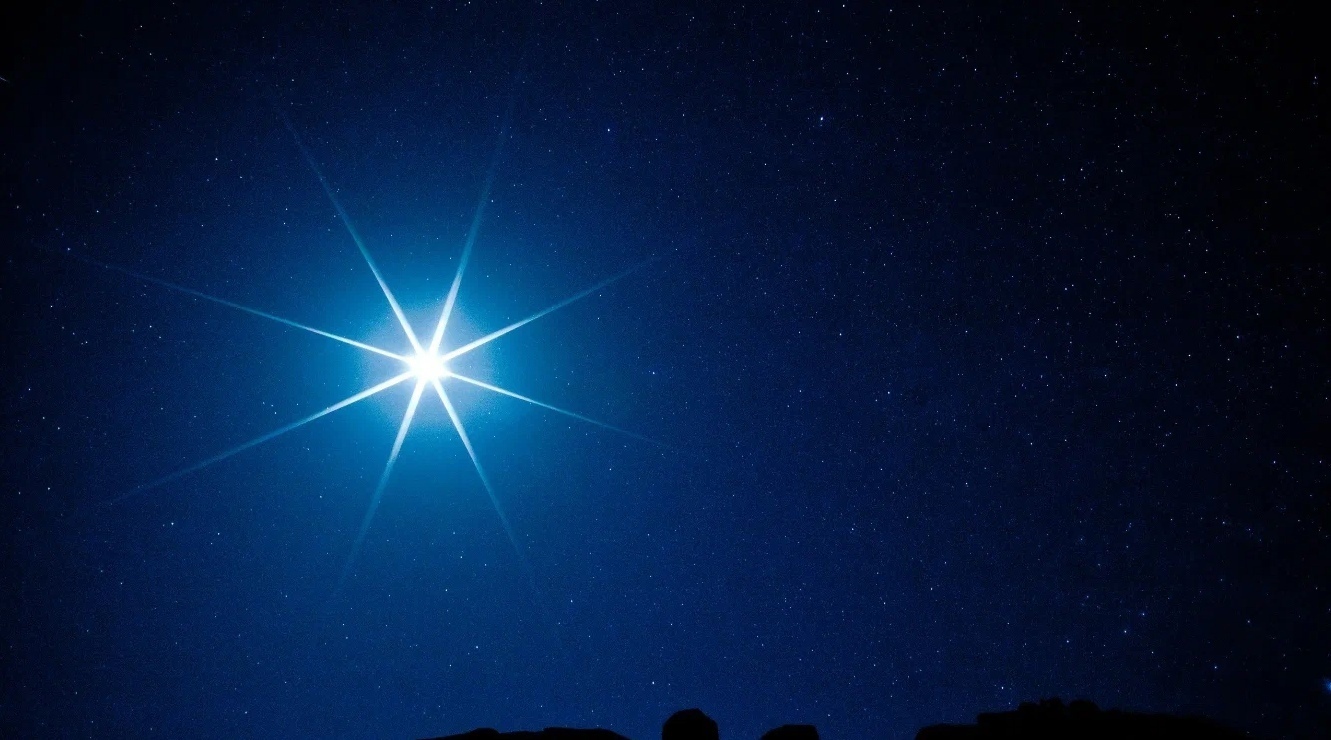 Маленькая звезда по имени Твиггл