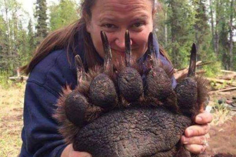 Гигантские существа, напоминающие нам о том, насколько диким является царство животных