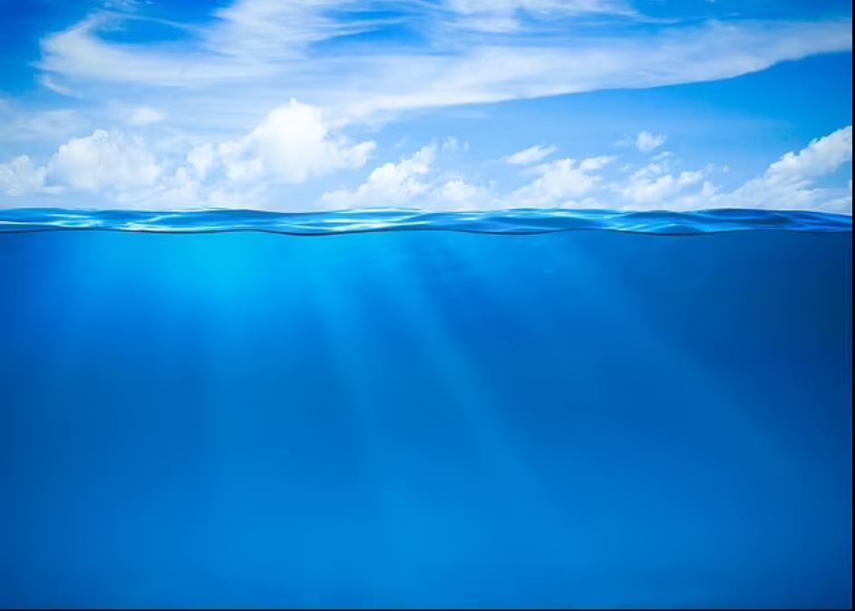 Что происходит с человеческими останками в море? Как меняется разложение тел в воде