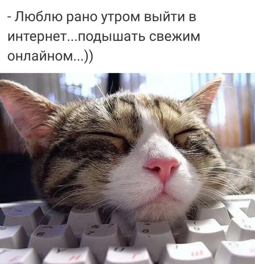 "Как сделать свои понедельники более приятными и улучшить свою жизнь?"