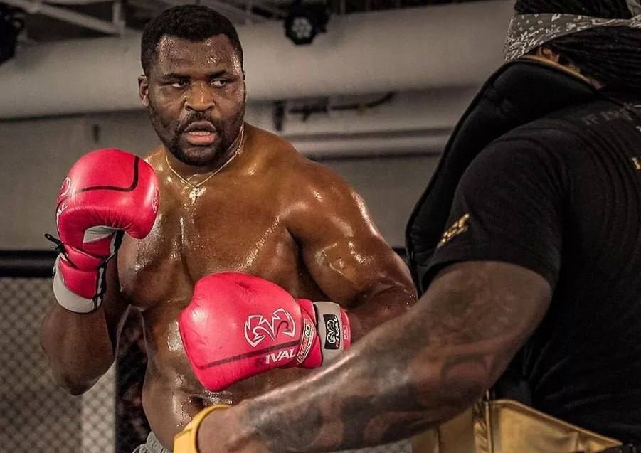 Битва гигантов близко! Боксер Тайсон Фьюри может провести выставочный бой с экс-чемпионом UFC Фрэнсисом Нганну.