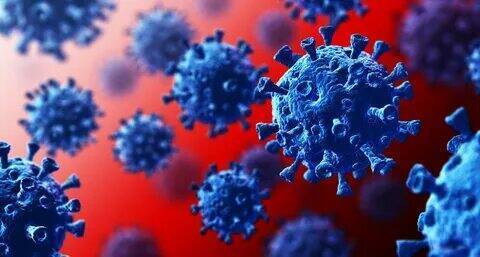 "Возникновение коронавируса: история, механизмы и последствия"