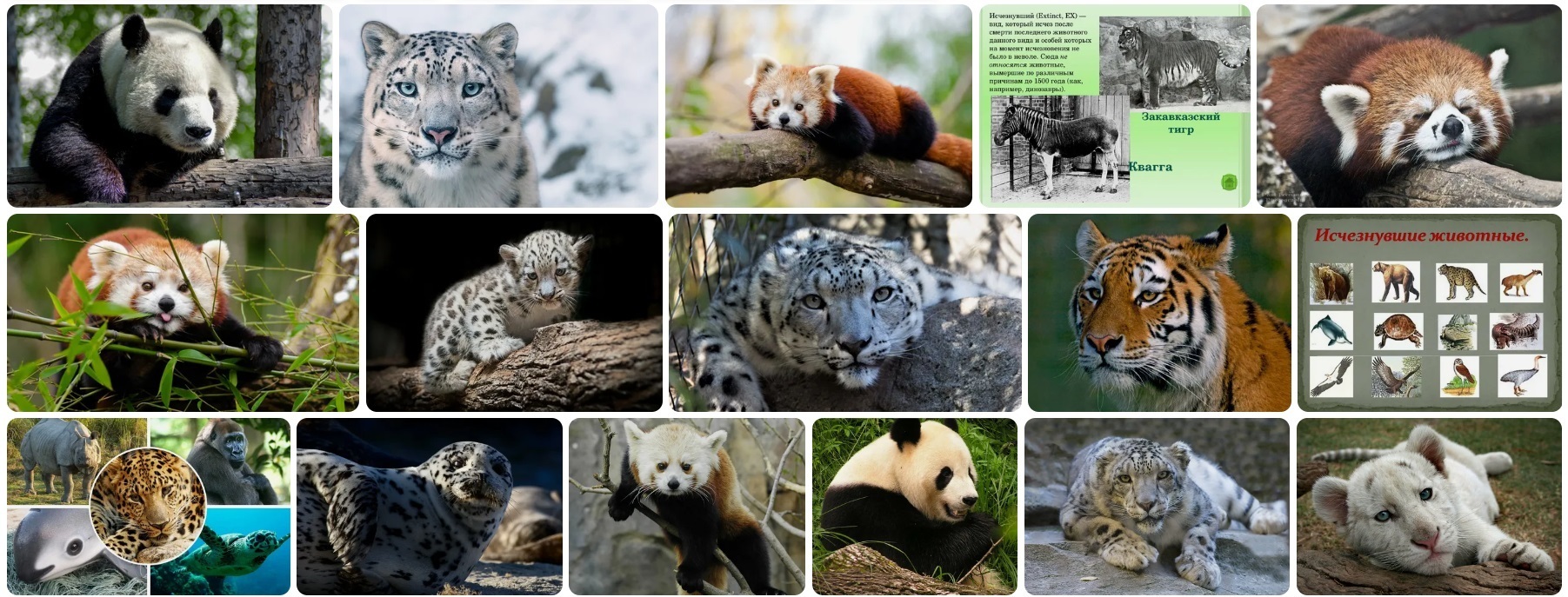 Вымирание животных