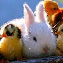 Елена, г. Сим