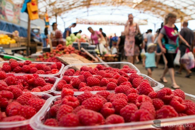 Рассказ про малину