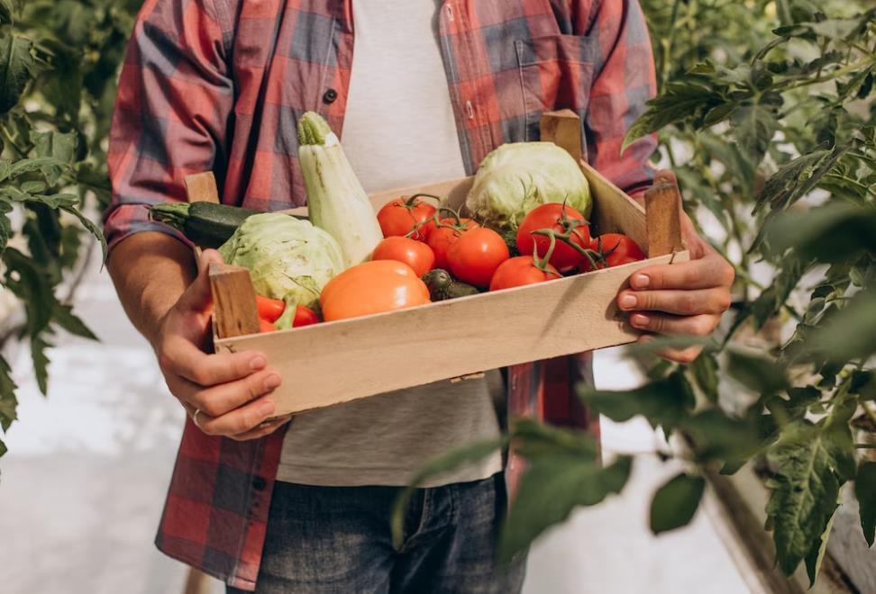 Под маской фермерских продуктов: как нас обманывают