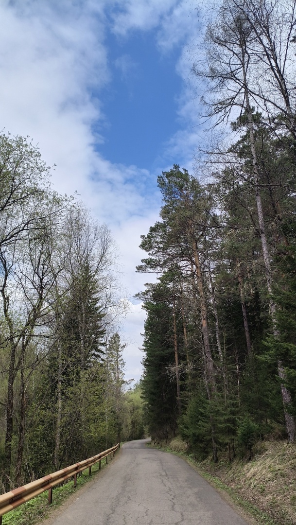 Лес, который даёт нам тень, нельзя осквернять.