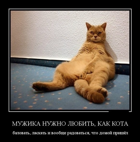 Удовлетворение мужчины: еда, молчи и по запросу говори «Да»