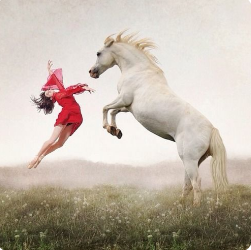 Необходимость создания ассоциации или сообщества блогеров.