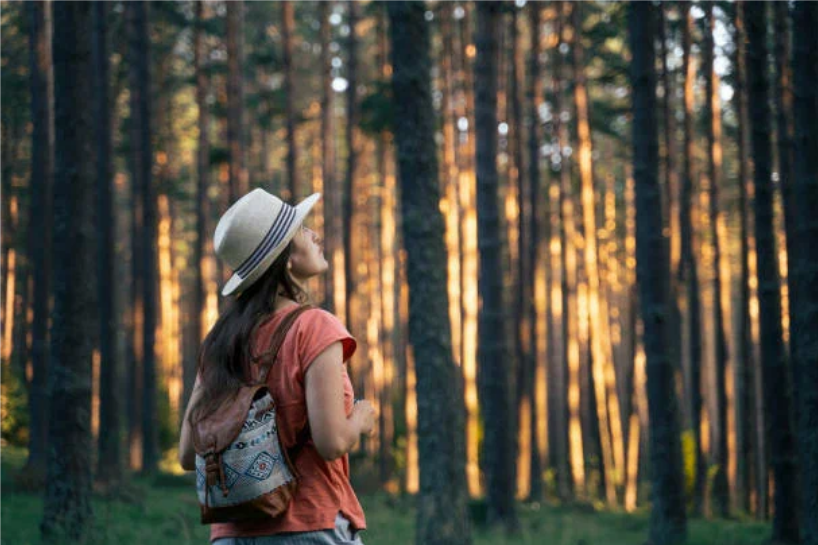 Рассказ про голубику