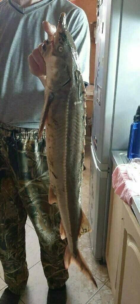 Рыбалка как отдых и страсть