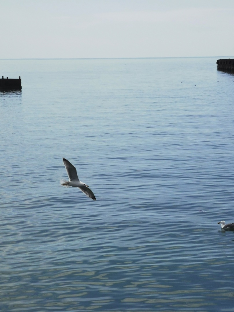 Я последовал за сердцем, и оно привело меня на море.