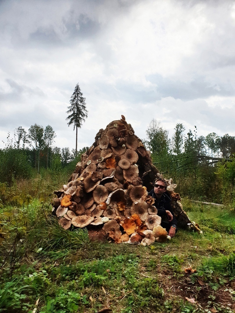 "Грибная шляпа"