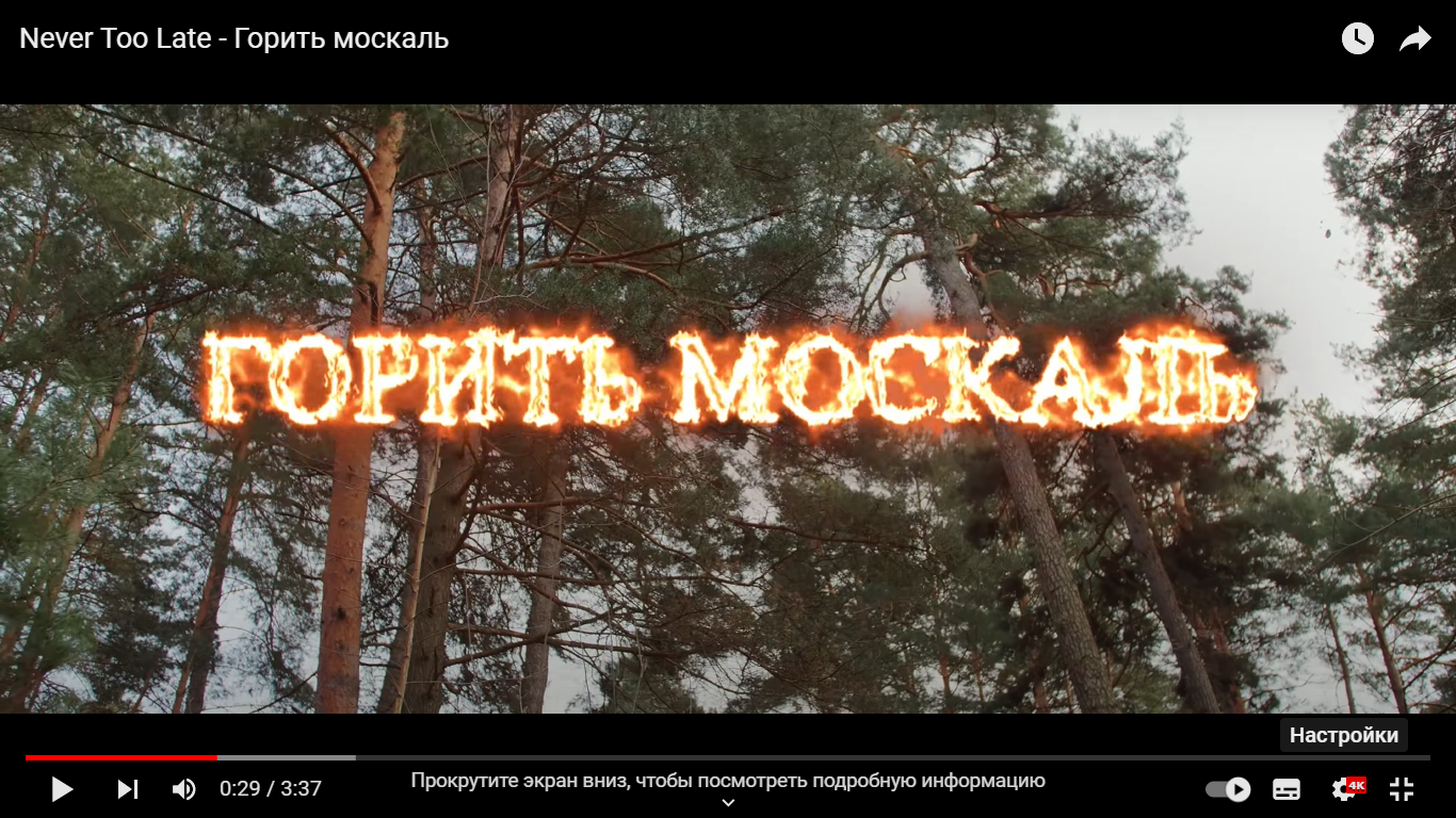 Борьба с русофобией! Госдума против "москалей" в русской культуре!