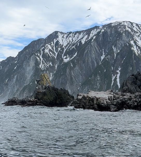 Названный в честь людоеда.
